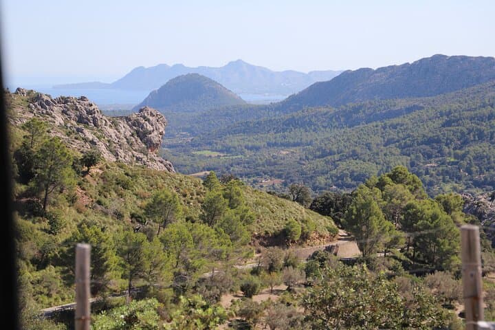 Historic Tour in Pollensa Market and Lluc Monastery