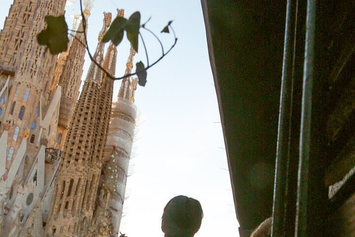Wine tasting with a view of the Sagrada Familia
