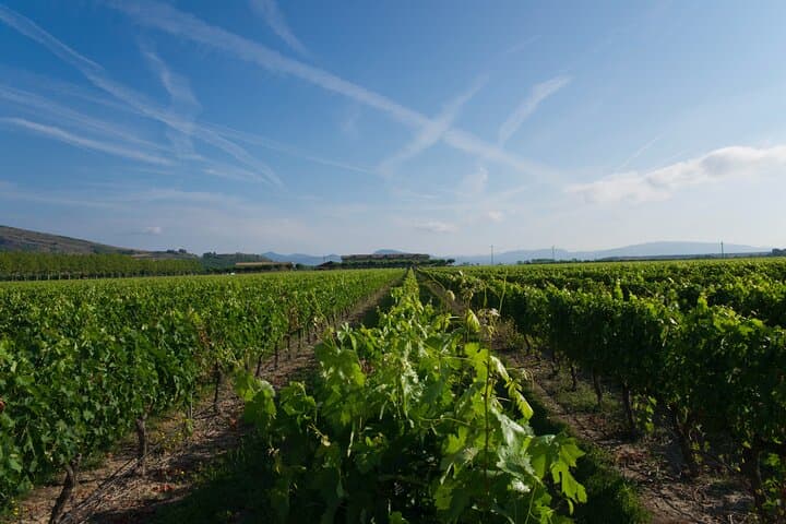 Visit and tasting in Otazu