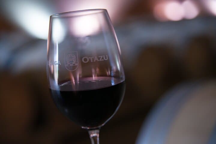 Visit and tasting in Otazu