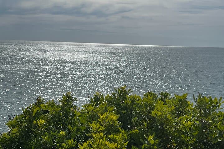 Lovely Sceneries