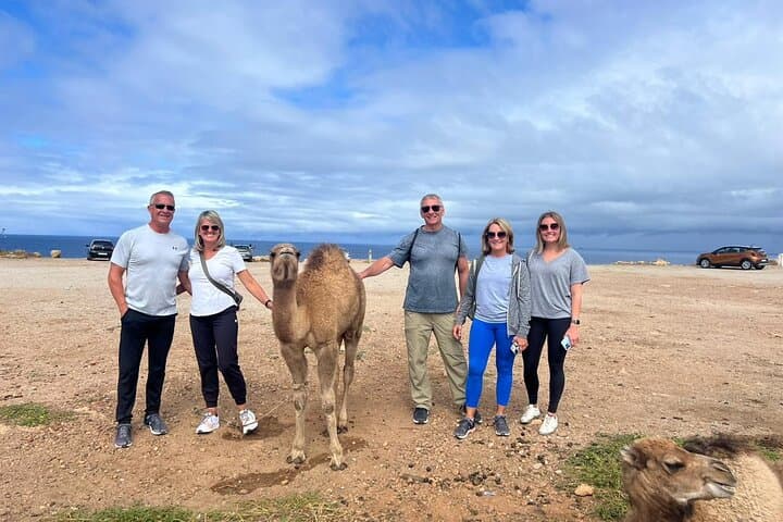 Private Luxury Tangier Tour From Malaga / Marbella or Tarifa