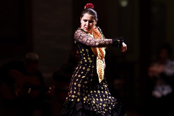 Authentic Flamenco Live Show With Wine in Barcelona