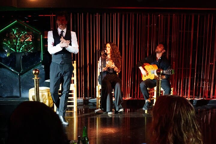 Authentic Flamenco Live Show With Wine in Barcelona