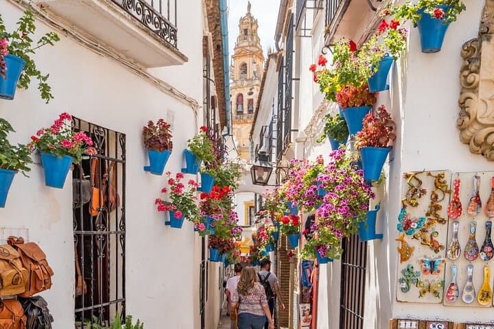 Private Tour of Cordoba Cathedral Mosque, Jewry and Courtyards