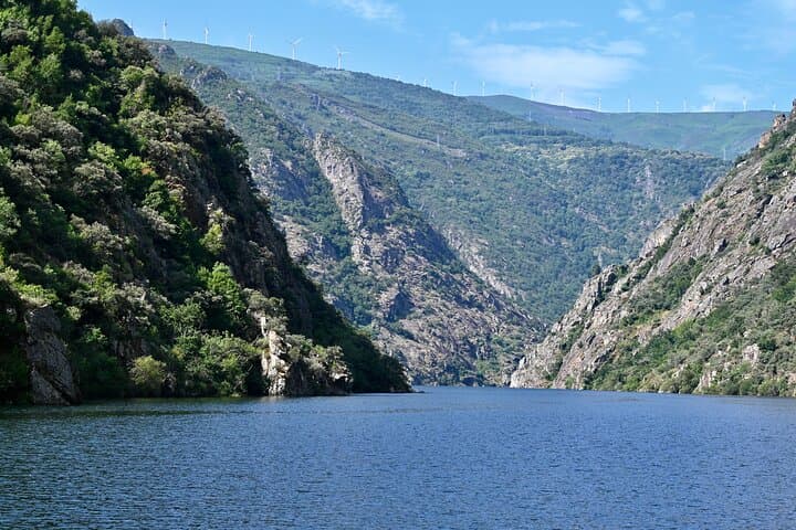 Ribeira Sacra Tour; Canyons, Sil River and Ourense