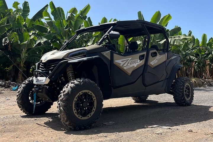 Tenerife Monster Buggy Teide Mountain Tour 4 - Seaters