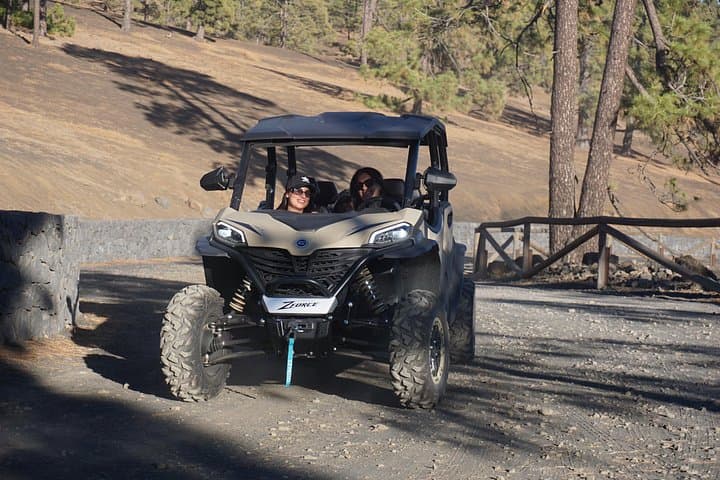 Tenerife Monster Buggy Teide Mountain Tour 4 - Seaters