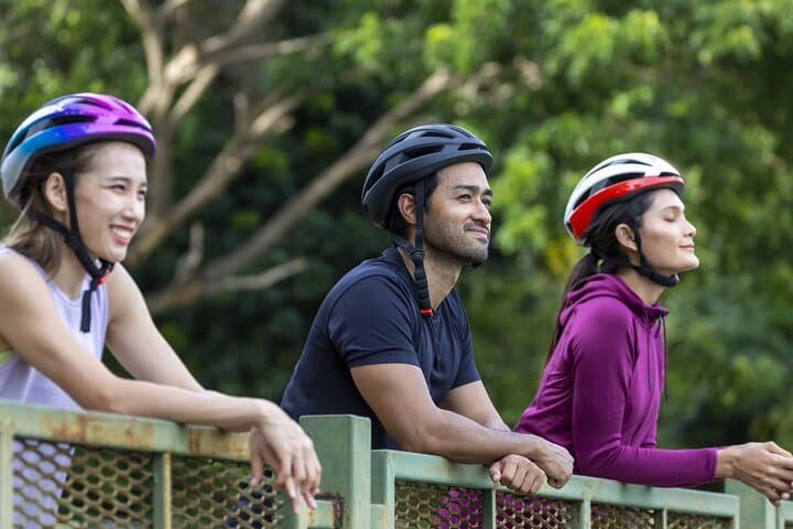 All Madrid: Private City Electric Bicycle Tour