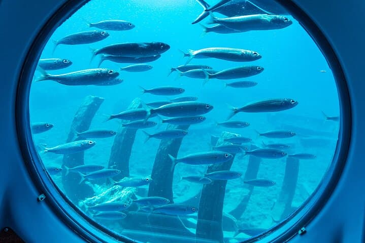 SUBMARINE ADVENTURE - Submarine Excursion in Puerto de Mogán