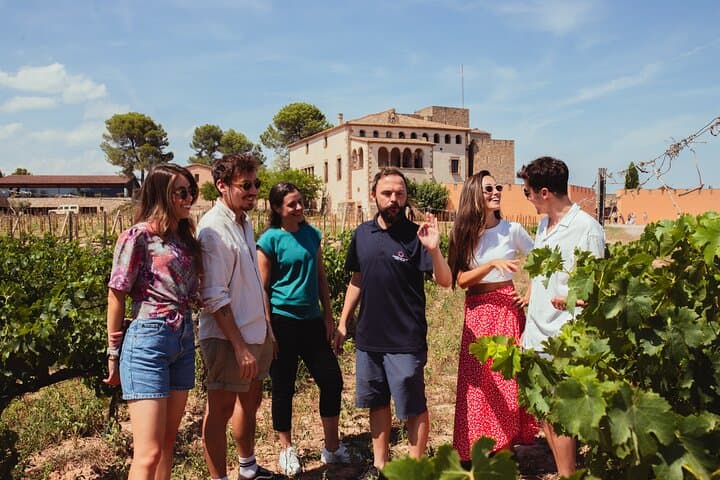 Premium Montserrat & Wine Full Day Tour from Barcelona
