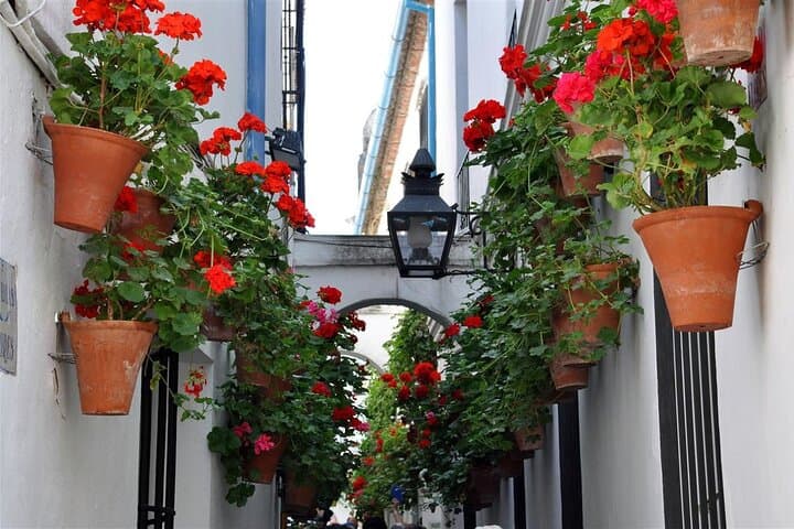 Cordoba Monuments in French
