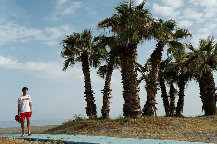 Palma de Mallorca Must-See Attractions Walking Tour With A Guide