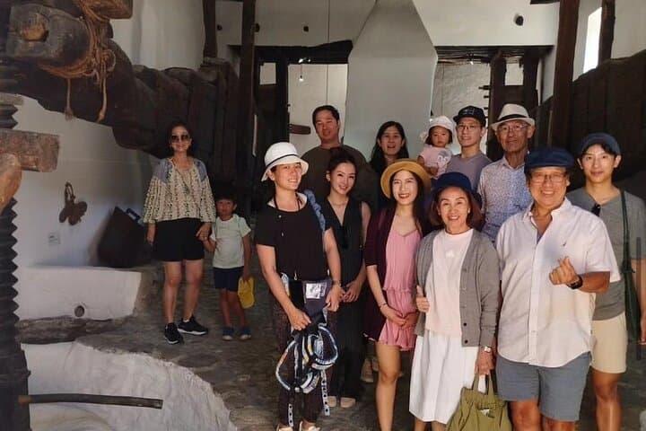 Olive Oil Half Day Private Experience from Granada