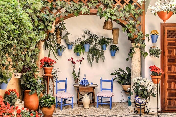 Guided Tour to the Popular Patios of Cordoba