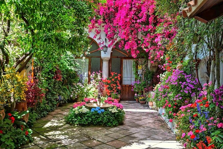 Guided Tour to the Popular Patios of Cordoba