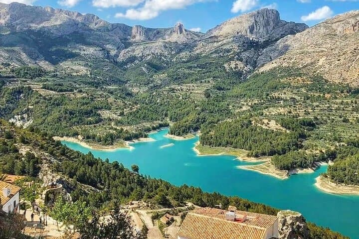 Small Group Winery Tour in Alicante