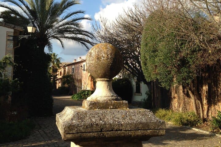 Private Mallorca Shore Excursion Wine Tasting and Sightseeing