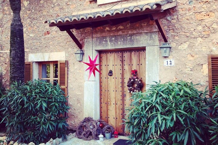 Private Mallorca Shore Excursion Wine Tasting and Sightseeing