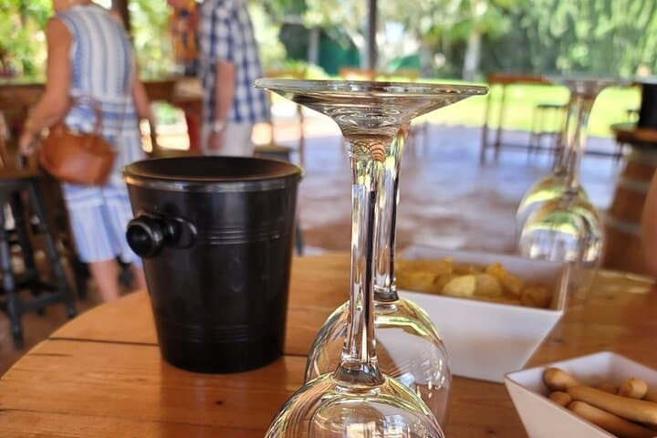 Wine Tour in and Wine Tasting