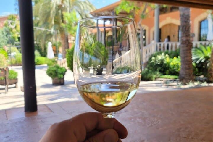 Wine Tour in and Wine Tasting