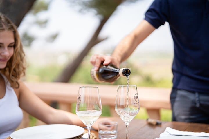 A Day Among the Vineyards, Lunch at a Family-Owned Winery