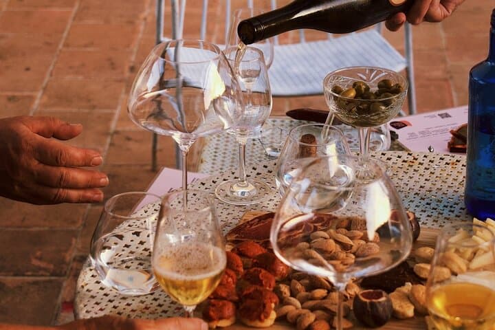 Gastronomic Wine Tasting Experience Guided by a Sommelier