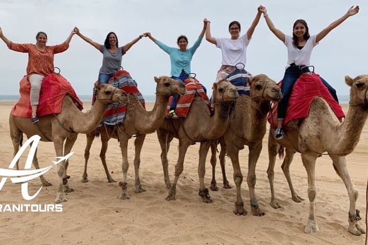 Private Day Trip from Marbella to Tangier All Inclusive
