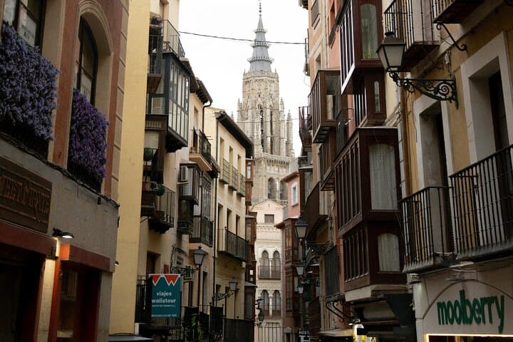 Private Tour to Toledo Half Day by Minivan