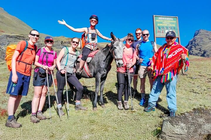 Group photo with llamas