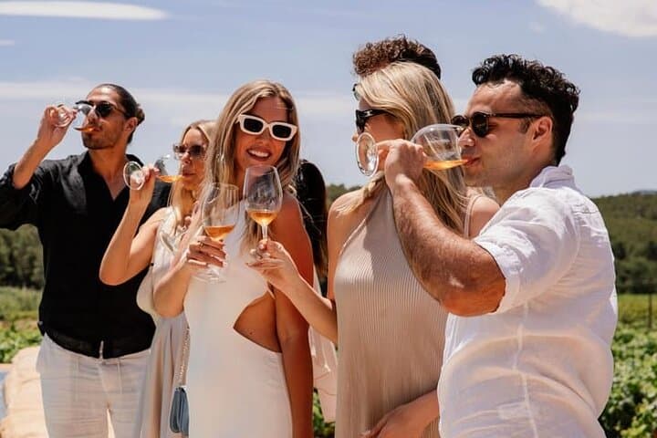 Barcelona: Priorat 3 Wine Tastings + 3-Course Gourmet Lunch