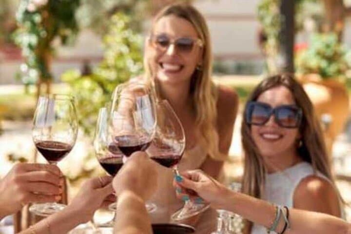 Barcelona: Priorat 3 Wine Tastings + 3-Course Gourmet Lunch