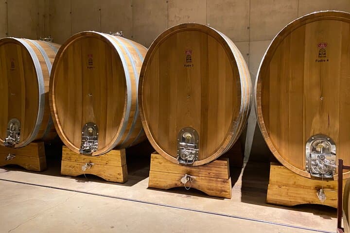 Full Day Private Requena Wineries Premium Tastings