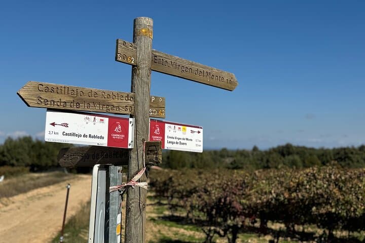 Private Tour to Burgos, Soria, Guadalajara, Cid Champion Route