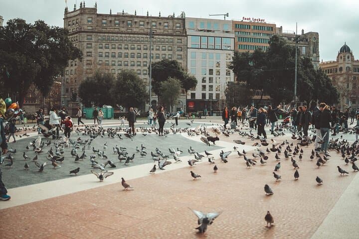 Private Healthy Food Experience and Walking Tour in Barcelona