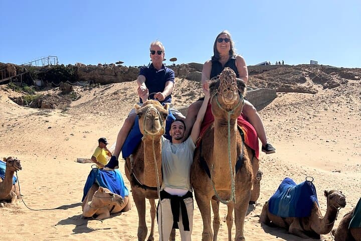 Tangier Luxury Day Trip From Malaga All inclusive