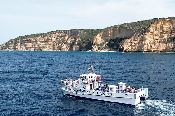 Cetacean Watching Tour