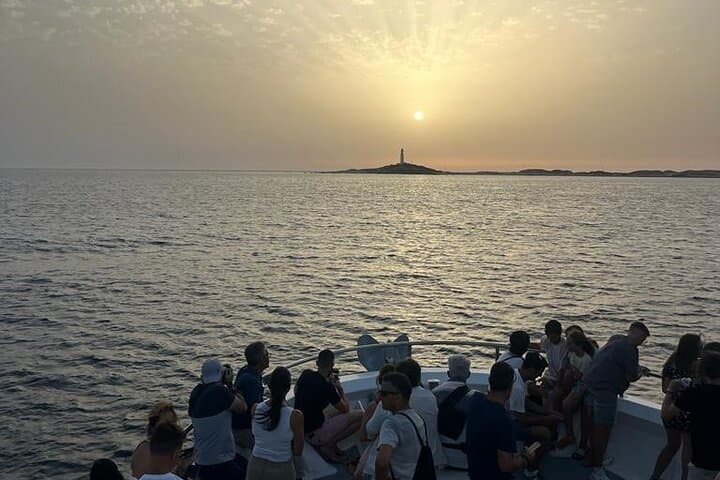 Cetacean Watching Tour