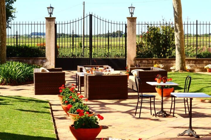 Winery tour & wine tasting in Penedès region 40min from Barcelona