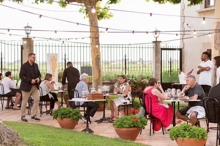Winery tour & wine tasting in Penedès region 40min from Barcelona