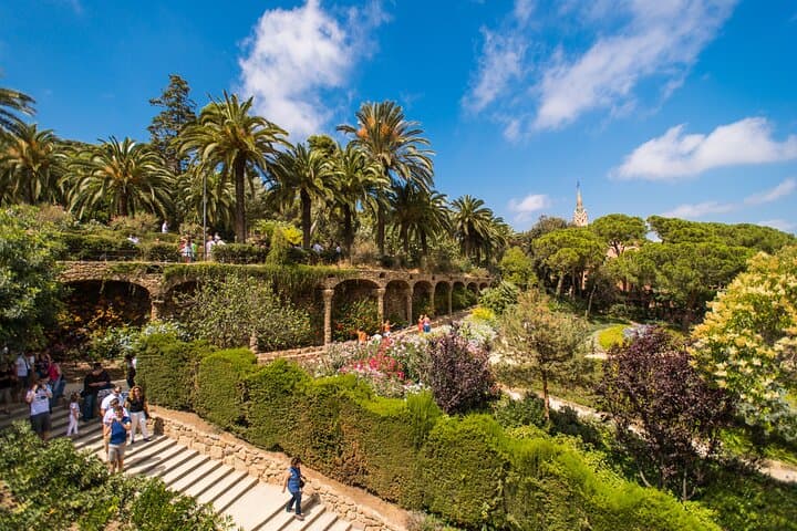 Skip the Line Park Güell Guided Walking Tour