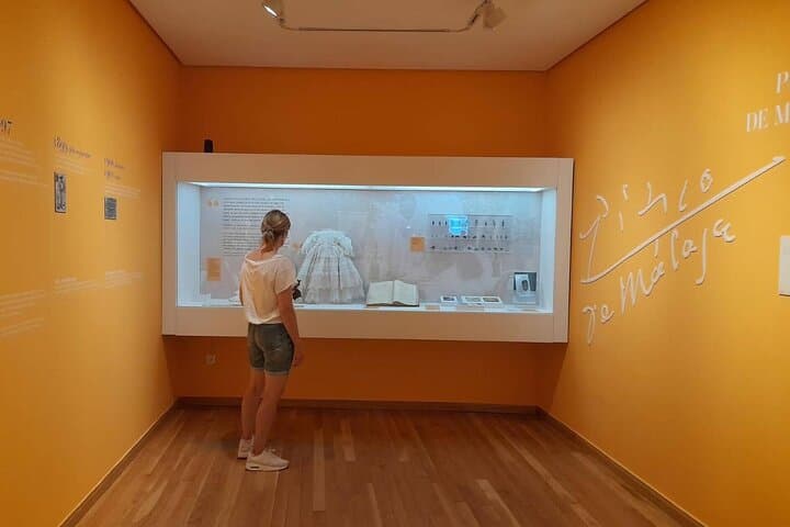 Malaga: Picasso Birthplace Museum Ticket with Digital Audio Guide