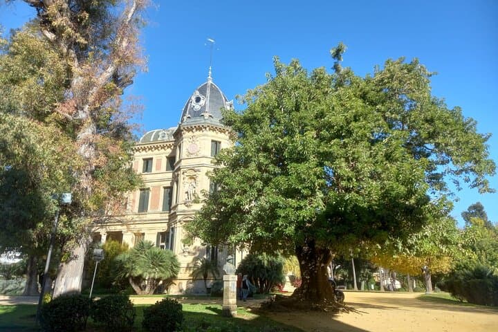School of Equestrian Art
