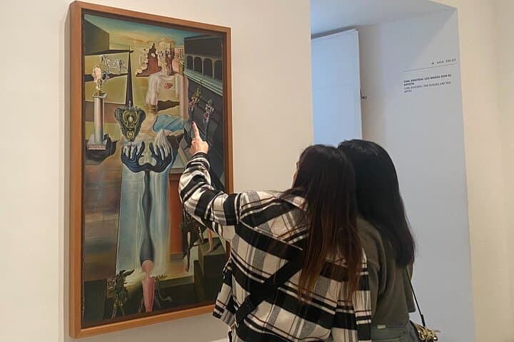 Museum Reina Sofia Semi-private tour