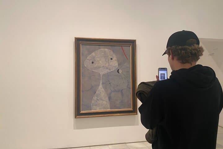 Museum Reina Sofia Semi-private tour