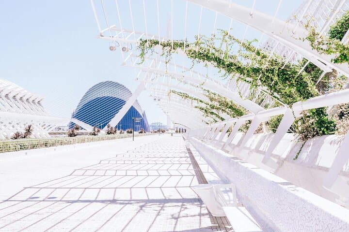 Futuristic Elegance Photoshoot Outside City of Arts and Sciences