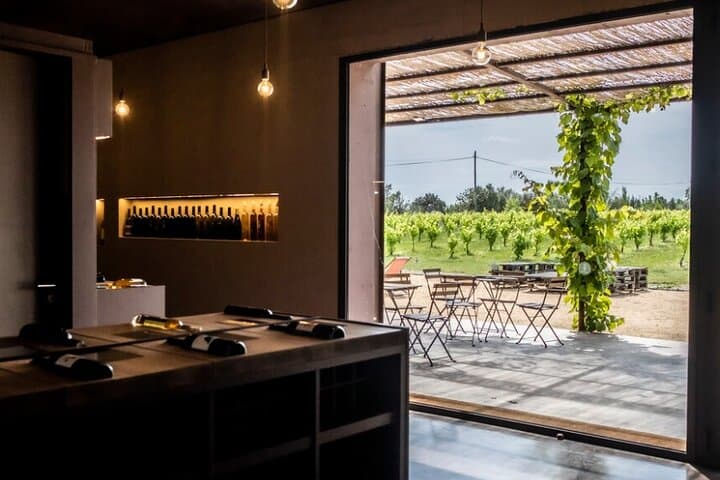 Dalí & Wine | Premium Private Tour with Coastal or Girona Add-On