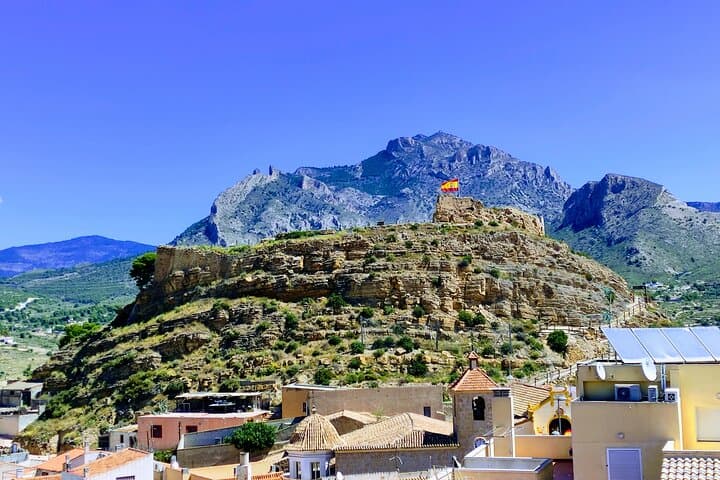 Alicante: Canelobre Caves & Busot with Local Guide & Transport
