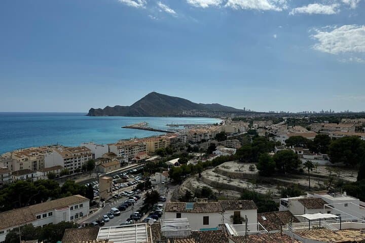 From Albir & Benidorm: The Magnificent 7 Day Trip