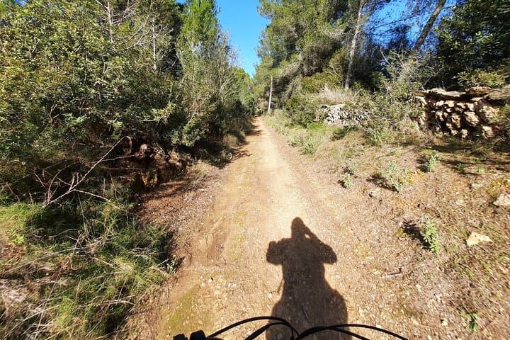 Discover Ibiza by E-Bike Santa Gertrudis de Fruitera